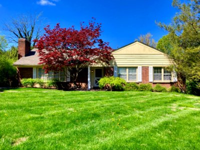 Rose Hill Avenue, North Avondale, Cincinnati, OH 