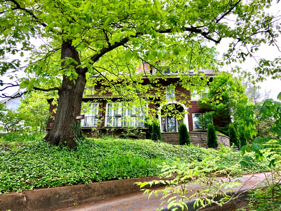 Lafayette Circle, Clifton, Cincinnati, OH 
