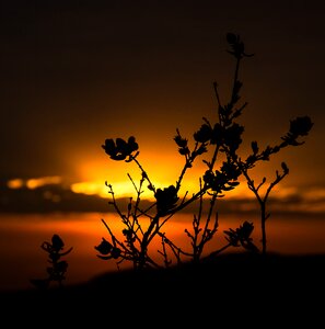 Dawn brazil sunset photo