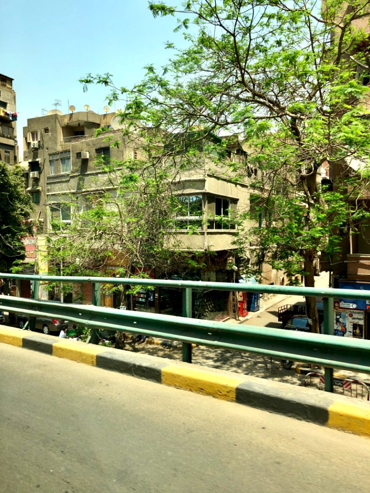 Wezaret El Zeraaha Street, Giza, GG, EGY 