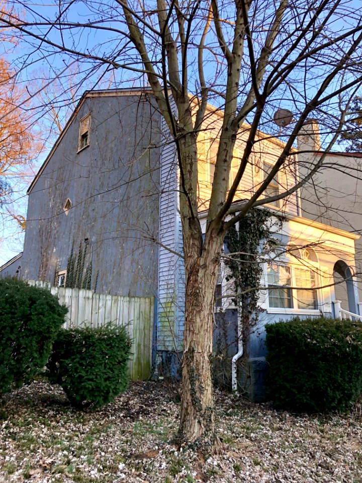 Cinnamon Street, O'Bryonville, Cincinnati, OH 