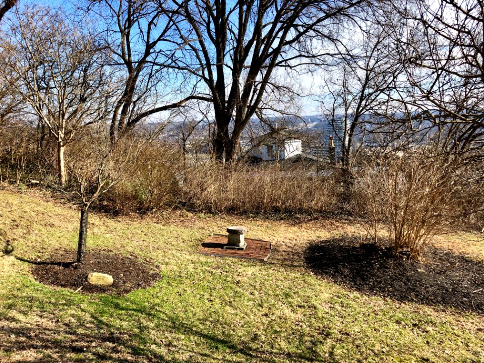 View from Mount Adams Steps, Mount Adams, Cincinnati, OH 