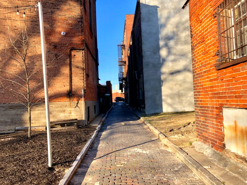 Sedalia Alley, Walnut Hills, Cincinnati, OH 