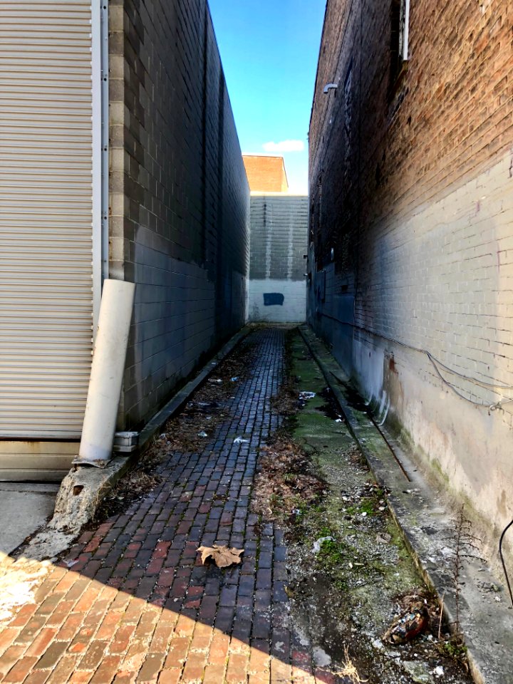 Beloit Alley, West End, Cincinnati, OH 