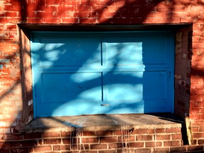 Sedalia Alley, Walnut Hills, Cincinnati, OH 