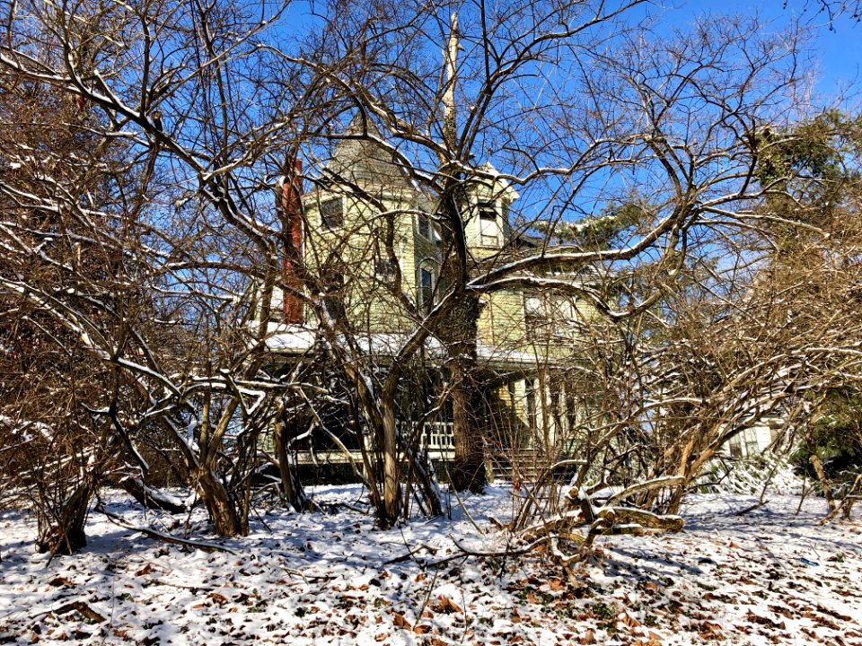 Reisenfeld House, Wilson Avenue, Avondale, Cincinnati, OH 