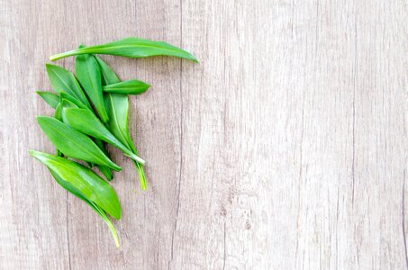 Garlic food green