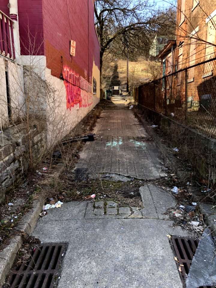 Kebler Alley, South Fairmount, Cincinnati, OH 