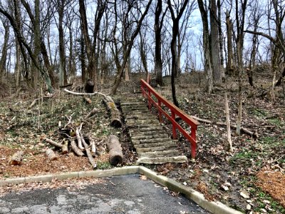 Sachem Avenue-Ault Park Steps, Columbia-Tusculum, Cincinna… 