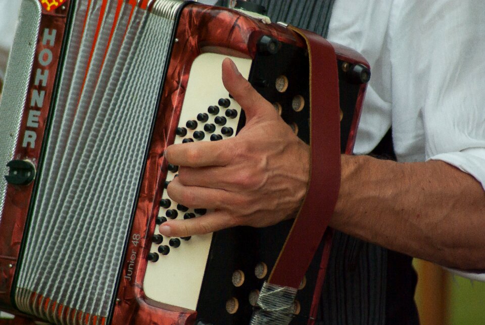 Accordion music artist