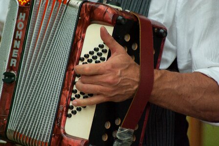 Accordion music artist