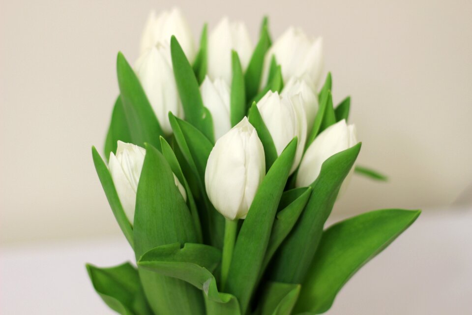 Bouquet of flowers bouquet flower bouquet