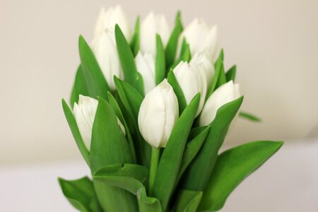 Bouquet of flowers bouquet flower bouquet