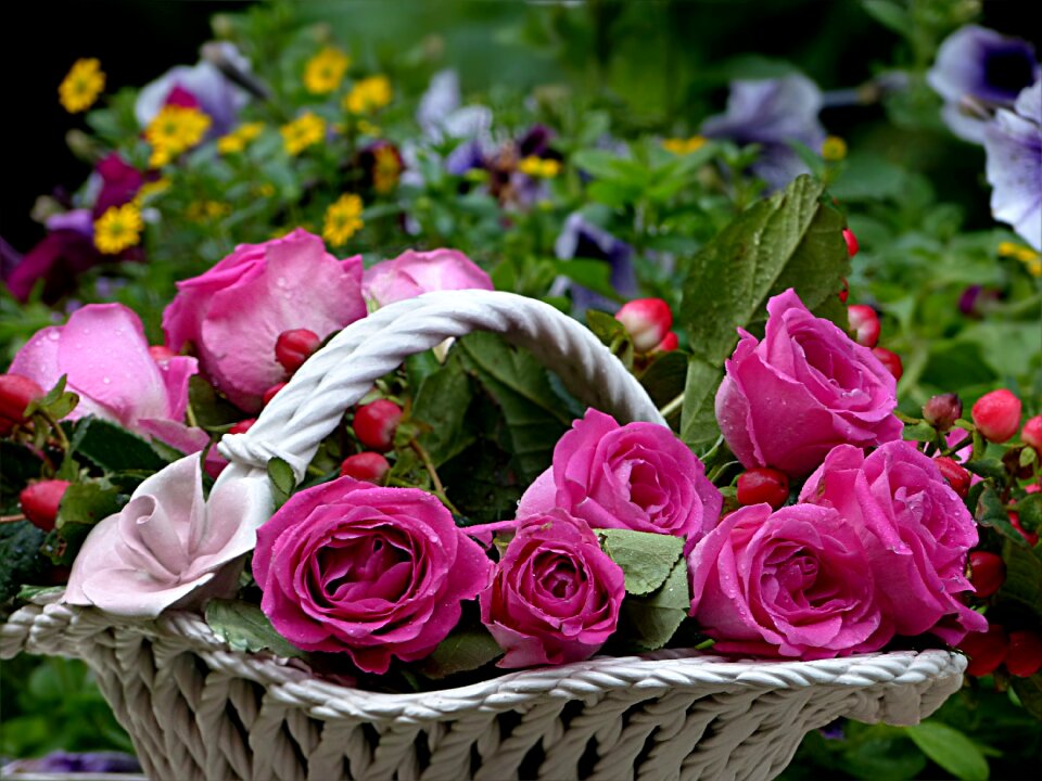 Flower bowl colorful beautiful