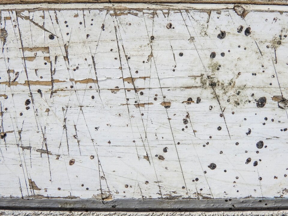 Wood texture rough