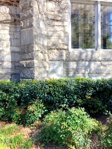 North Avenue Presbyterian Church, Atlanta, GA 