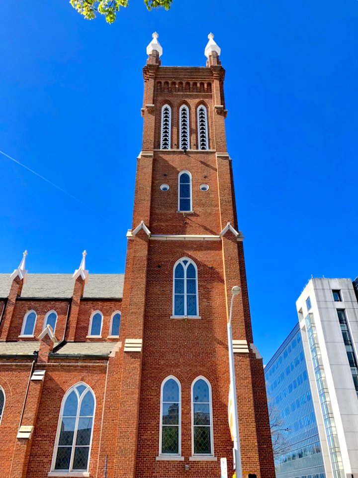Catholic Shrine of the Immaculate Conception, Atlanta, GA 