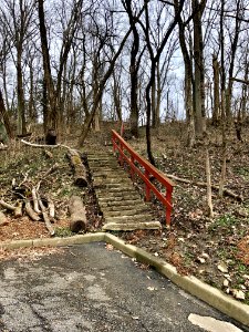 Sachem Avenue-Ault Park Steps, Columbia-Tusculum, Cincinna… 