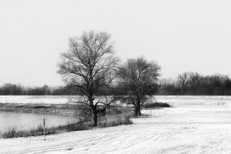 Black and white cold snow photo
