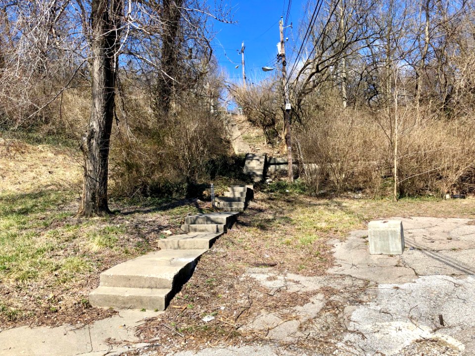 Mount Hope Avenue Steps, Sedamsville, Cincinnati, OH 