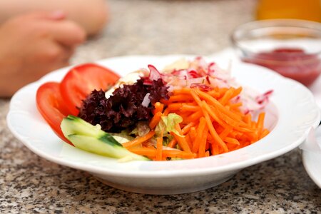 Salad plate green eat