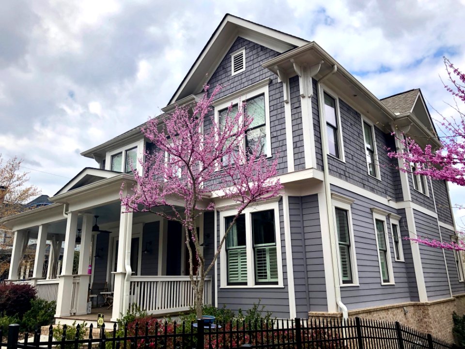 Euclid Avenue, Inman Park, Atlanta, GA 