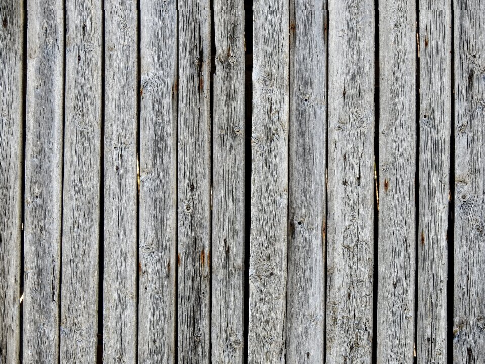 Wood texture rough photo