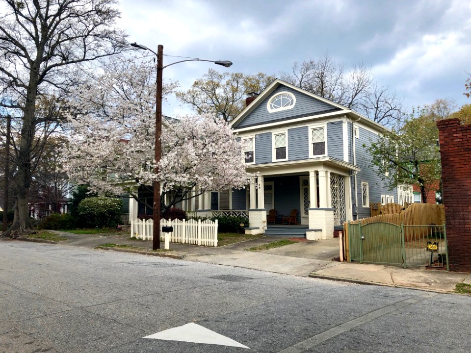 Waddell Street, Inman Park, Atlanta, GA 