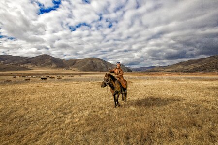 Horse bogart village mongolia photo