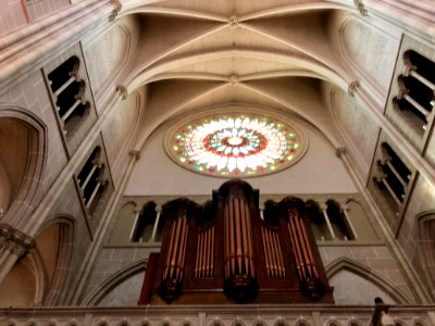 Organ and Rose Window, St. Mary's Cathedral Basilica of th… 