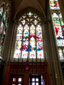 Stained Glass Windows, St. Mary's Cathedral Basilica of th… 