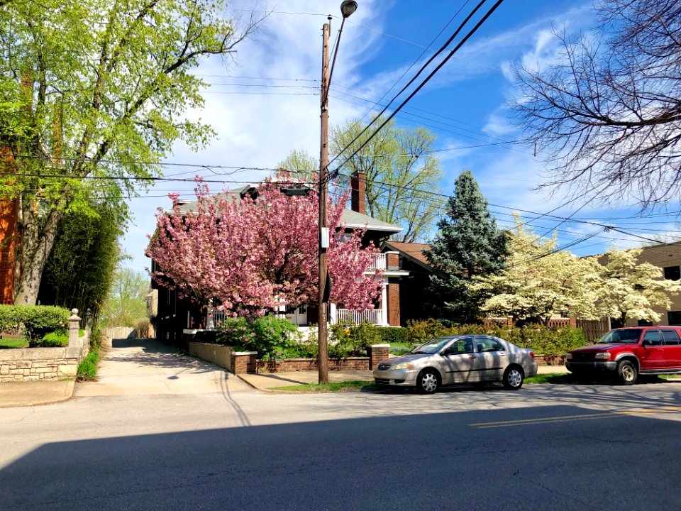 Garrard Street, Licking Riverside, Covington, KY 