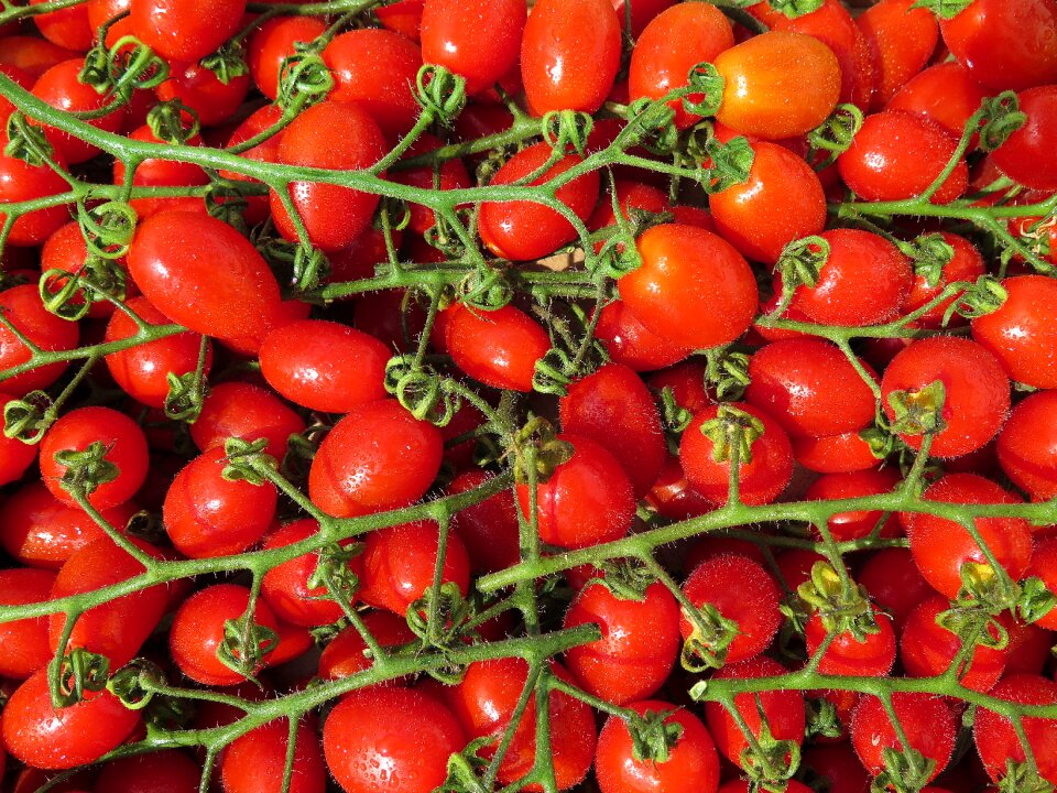 Red vegetables food