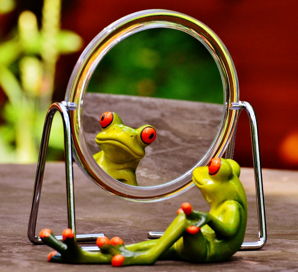 Mirroring cute funny