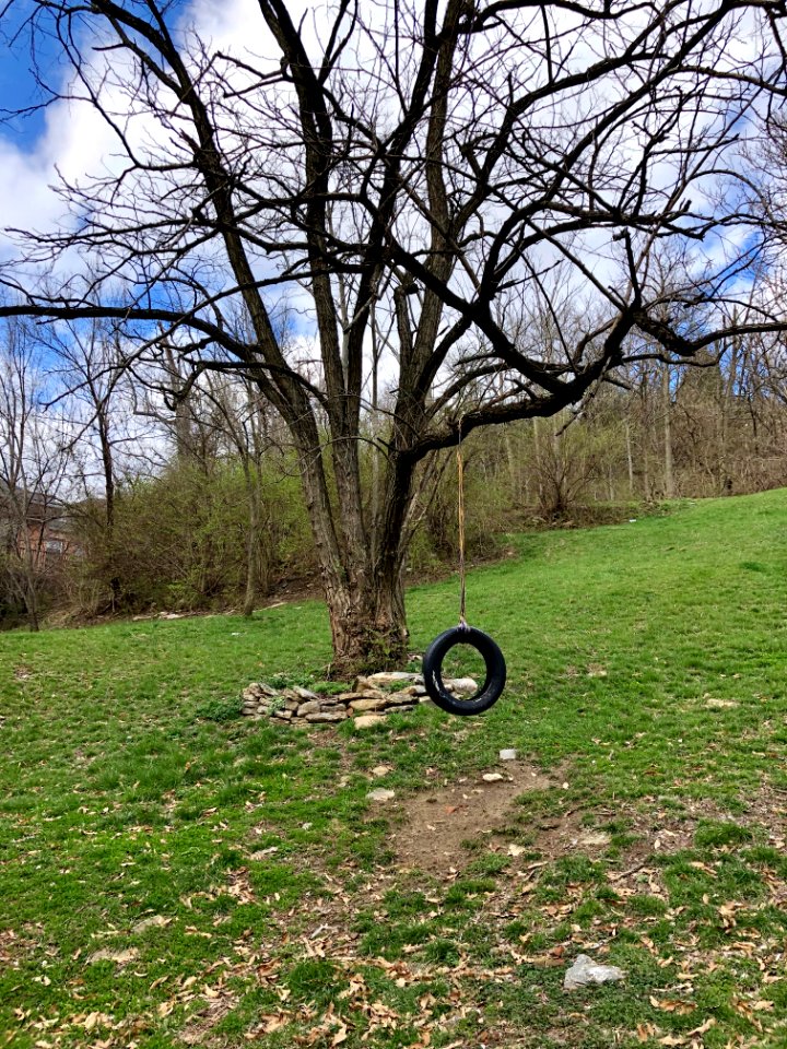 Tire Swing, Mulberry Street, Over-the-Rhine, Cincinnati, O… 