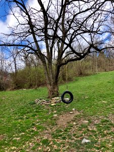 Tire Swing, Mulberry Street, Over-the-Rhine, Cincinnati, O… 