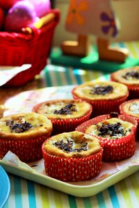 Lavender muffin spring