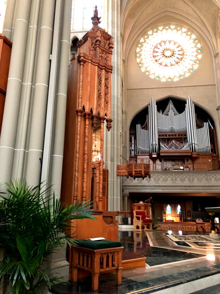 St. Mary's Cathedral Basilica of the Assumption, Eastside,… 