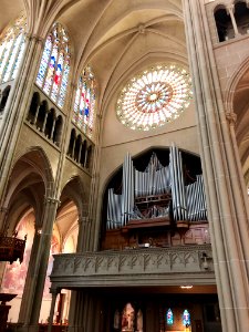 St. Mary's Cathedral Basilica of the Assumption, Eastside,… 