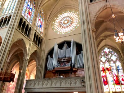 St. Mary's Cathedral Basilica of the Assumption, Eastside,… 