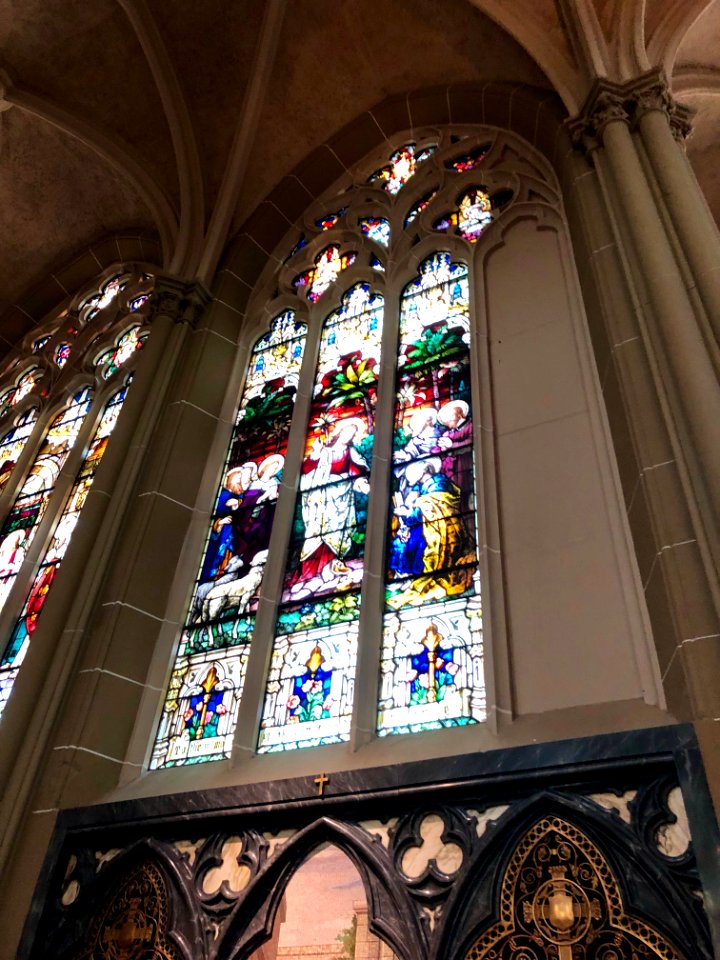Stained Glass Windows, St. Mary's Cathedral Basilica of th… 