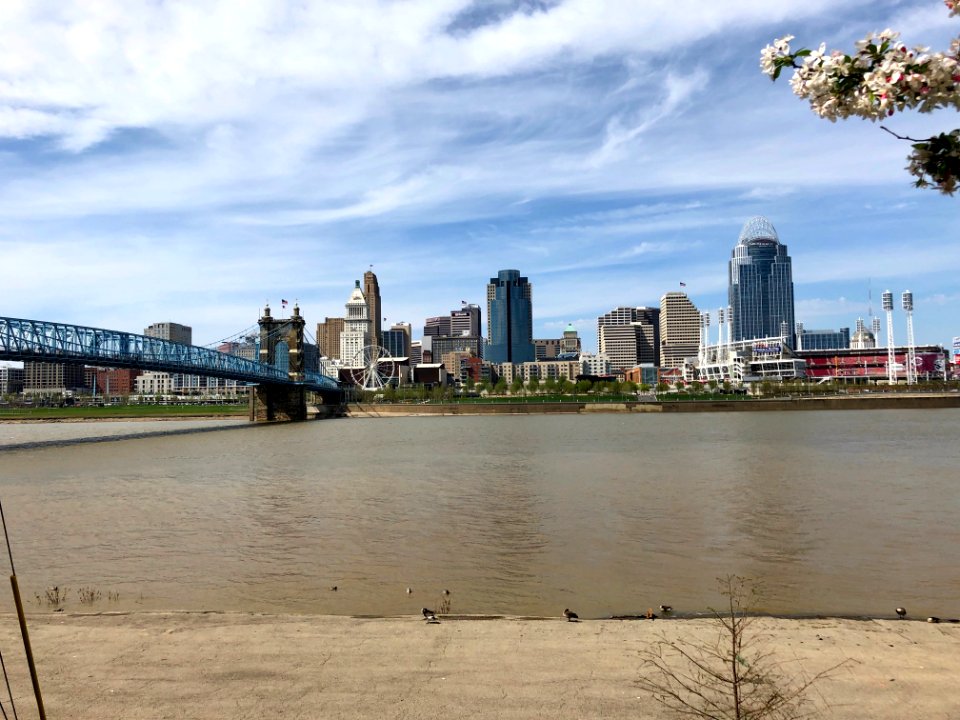 Downtown Cincinnati from Covington, KY 
