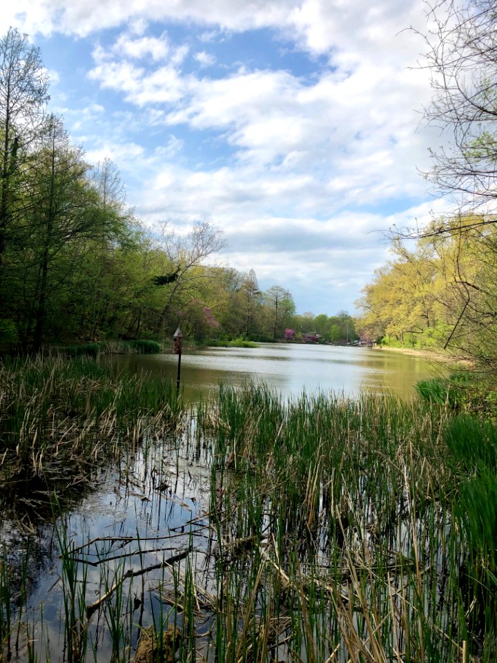 Lake, Burnet Woods, Clifton, Cincinnati, OH 