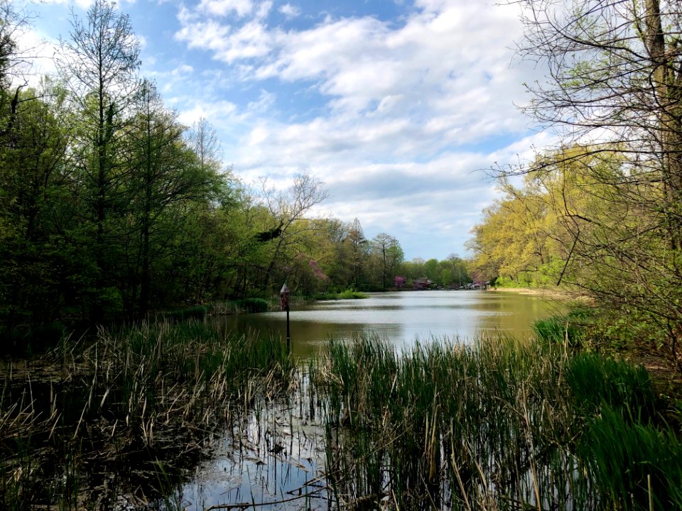 Lake, Burnet Woods, Clifton, Cincinnati, OH 