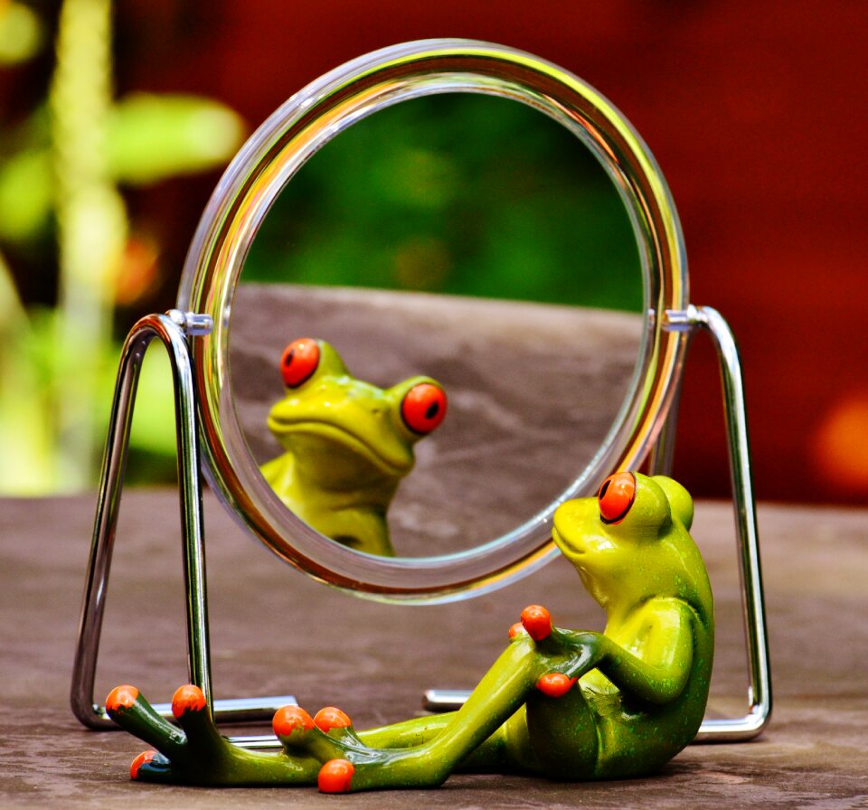 Mirroring cute funny
