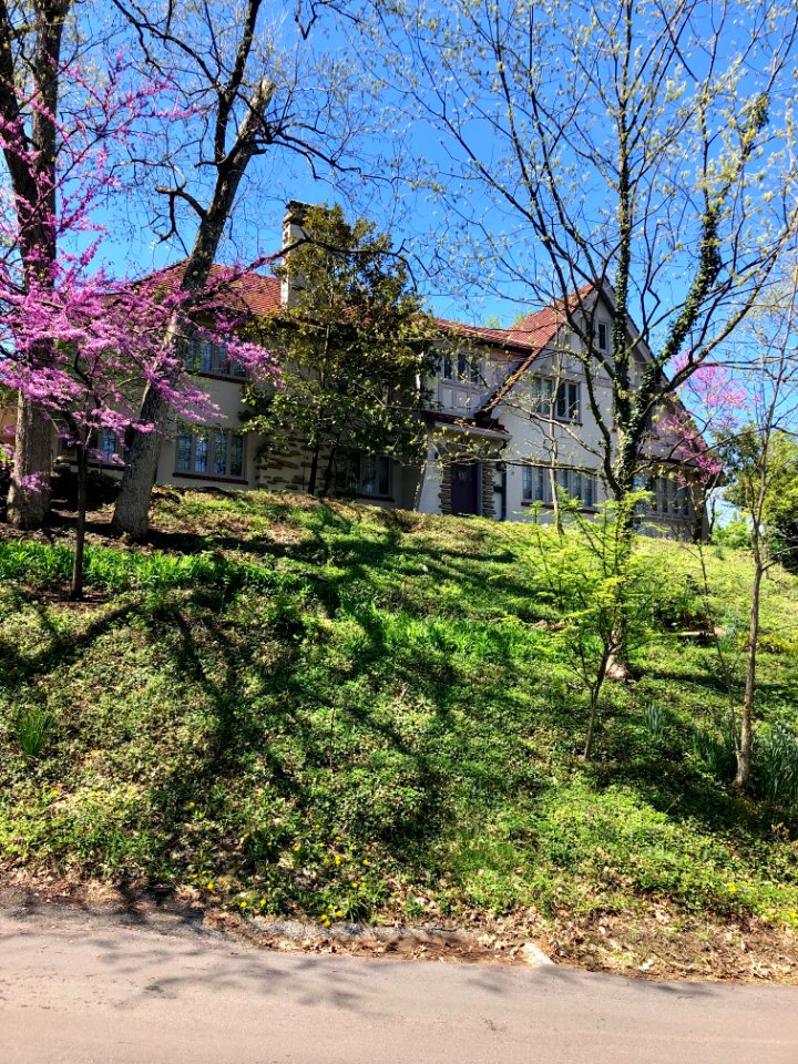 Red Bud Avenue, North Avondale, Cincinnati, OH 