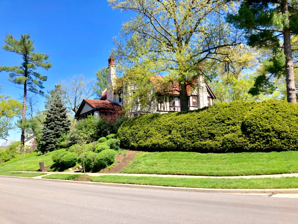Betula Avenue, North Avondale, Cincinnati, OH 