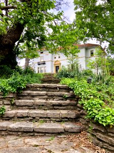 Clifton Avenue, Clifton, Cincinnati, OH 