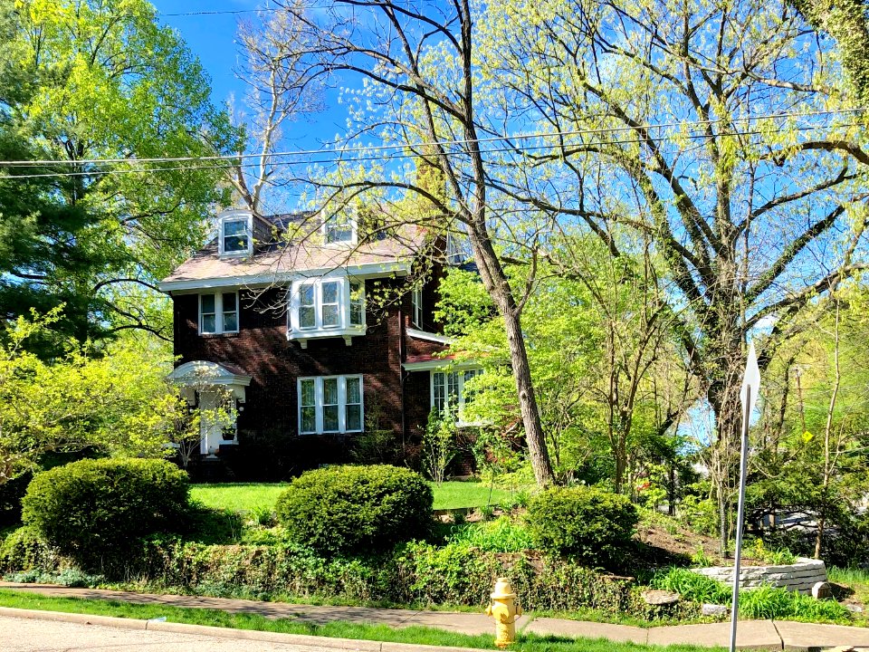 Warren Avenue, Clifton, Cincinnati, OH 
