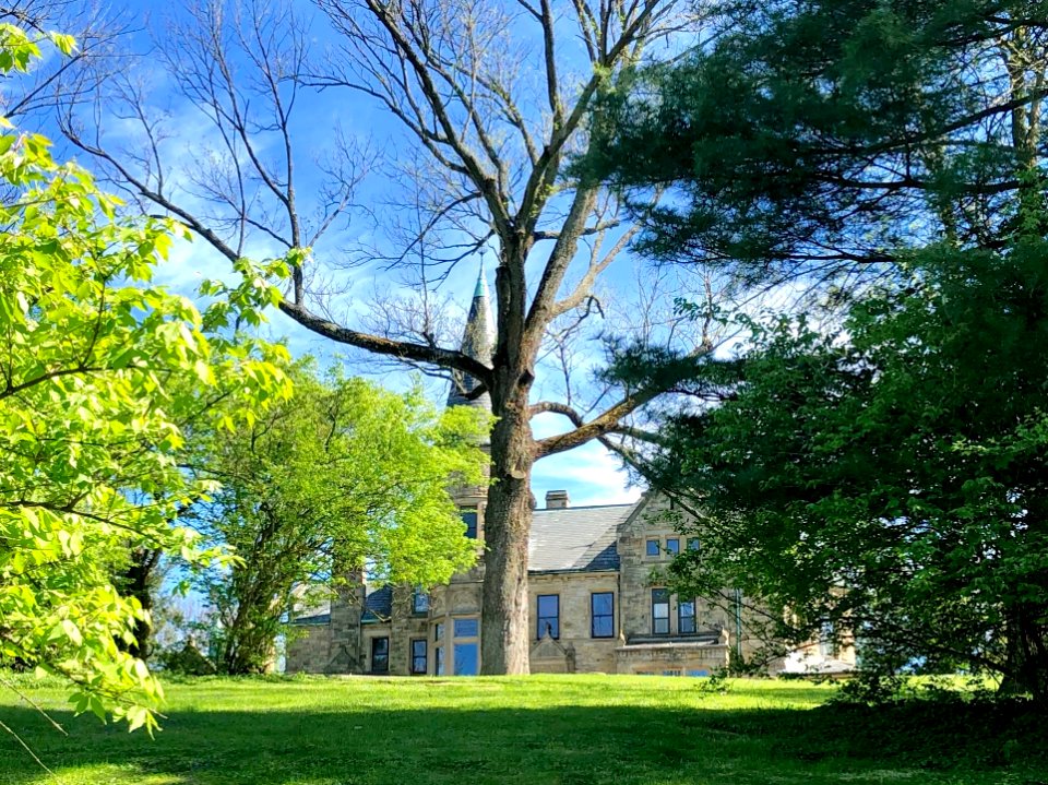 Lafayette Avenue, Clifton, Cincinnati, OH 